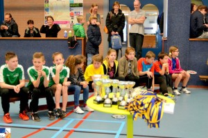 2016-03-03 Schoolbadminton toernooi
