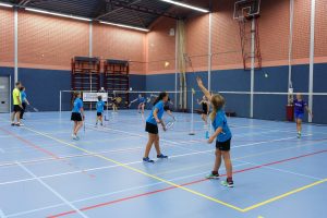 2016-09-22 Badminton Clinic