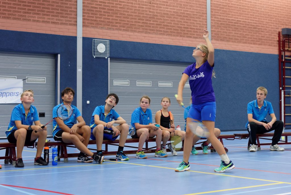 2016-09-22 Badminton Clinic