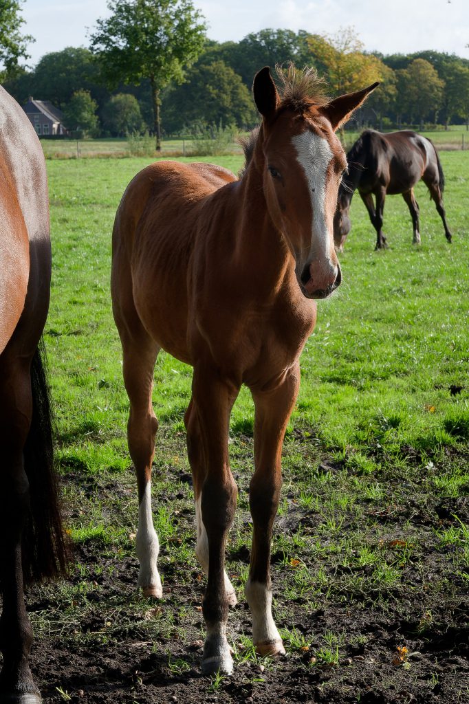 2022-10-01 Jeugdkamp Klein Oever