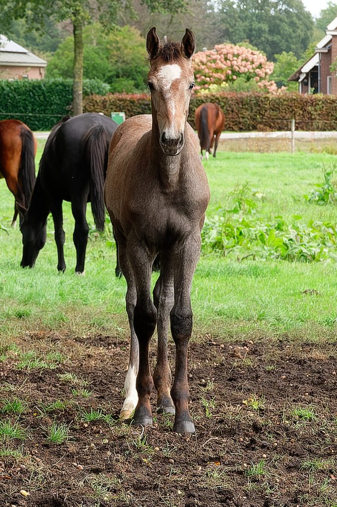2022-10-01 Jeugdkamp Klein Oever